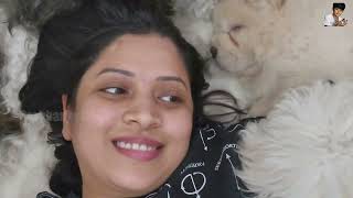 Pet Dogs Reaction on Chow Chow Puppy at Home || Booster || Cream || Booster Prahanjan