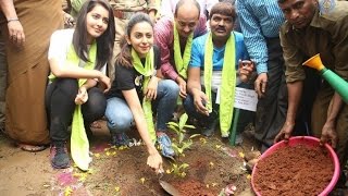 Rakul Preet Singh & Rashi Khanna Haritha Haram Event At Kbr Park - Hyderabad