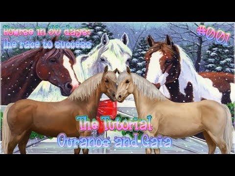 Howrse w 30 dni: wyścigu do sukcesu: Tutorial