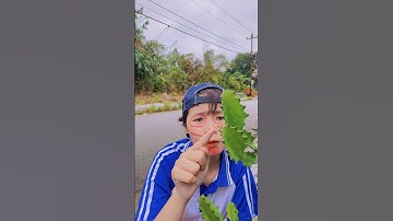 Em trai tôi nghịch dại cây xương rồng