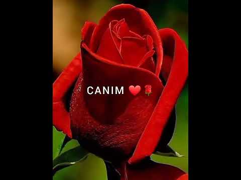 Ad günün mübarək canım Anam 💞🌹