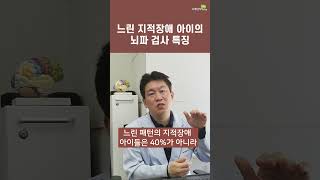 느린 지적장애 아이의 뇌파검사 결과(브레인리더한의원, 설재현한의사)