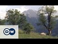 Natur pur im Nationalpark Berchtesgaden | Hin & weg