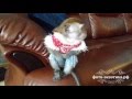 Домашняя обезьянка в квартире
