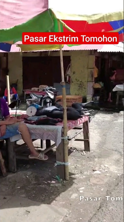 Masih Jual Daging Anjing Di Pasar Tomohon
