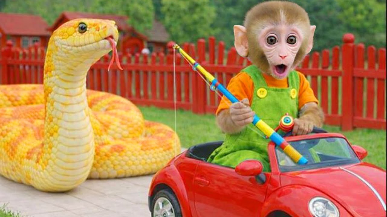 Bim Bim's family goes fishing and encounters a giant snake