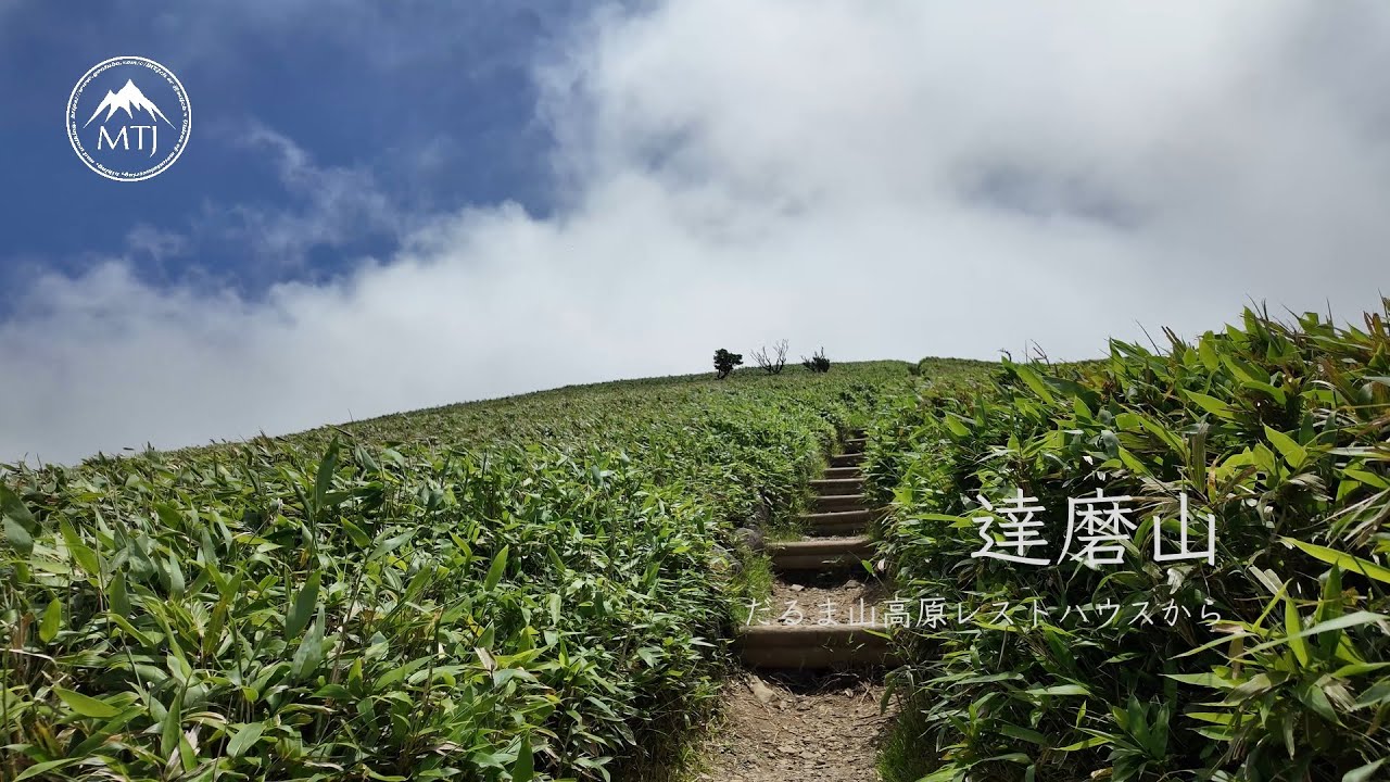 伊豆 達磨山｜だるま山高原レストハウスから【登山・ハイキング・日帰り・車・2025年6月22日】静岡県沼津市｜伊豆山稜線歩道　富士箱根伊豆国立公園