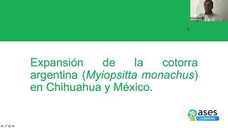 Expansión de la Cotorra Argentina en Chihuahua y México Presentado: M.C. Ricardo Abel Soto Cruz