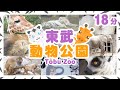 東武動物公園に行きました🎆ホワイトタイガー🐾ぞう🐘きりん🦒ペンギン🐧2020年