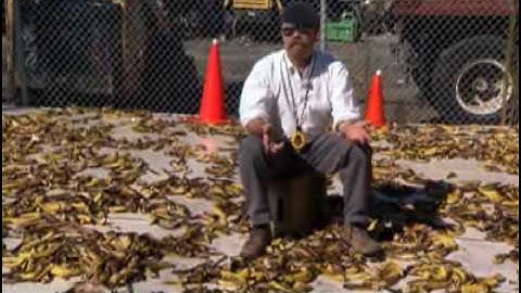 MythBusters - Banana Peel Slip