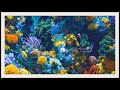 Coral Reef Frame TV Art | Underwater Exotic Animal Wallpaper | TV Art Home Decor