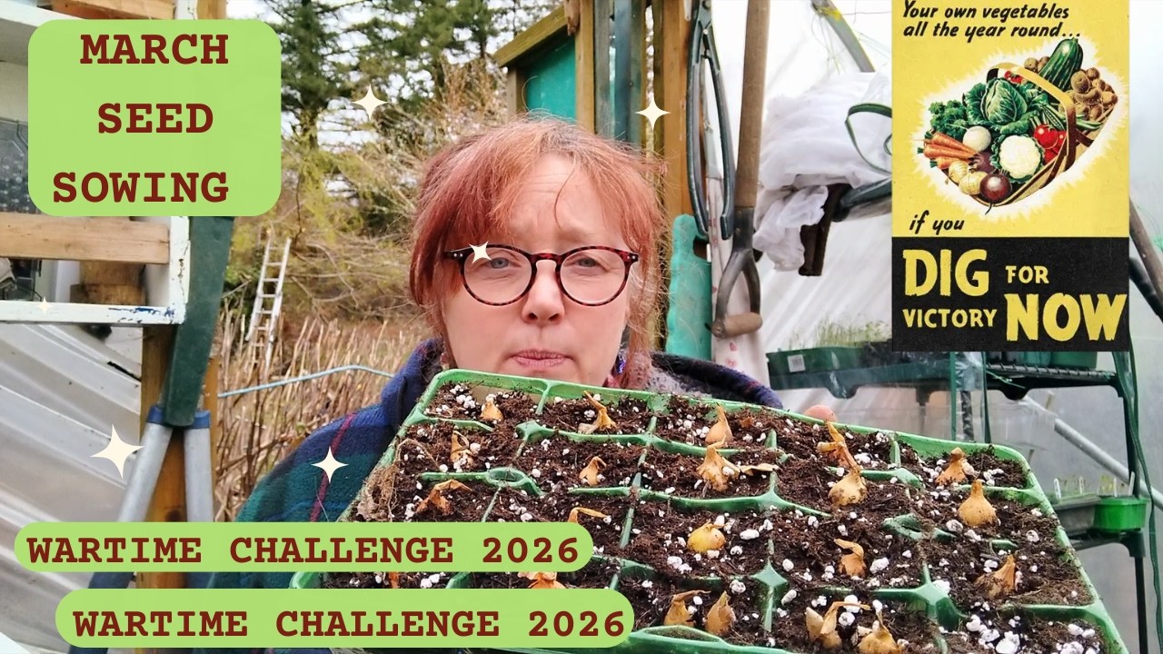 Dig For Victory: Starting My 1940s Garden | My March Seed sowing🌿