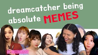 introducing dreamcatcher being absolute memes part 1 | REACTION!!