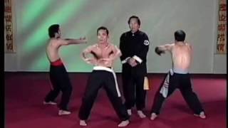 Noi-Cong Kung-Fu