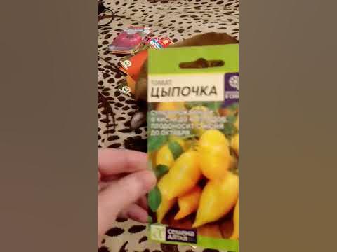 ЛУЧШИЕ СОРТА ЖЕЛТЫХ ТОМАТОВ Супер мега урожайные, очень вкусные томаты🍅 ...