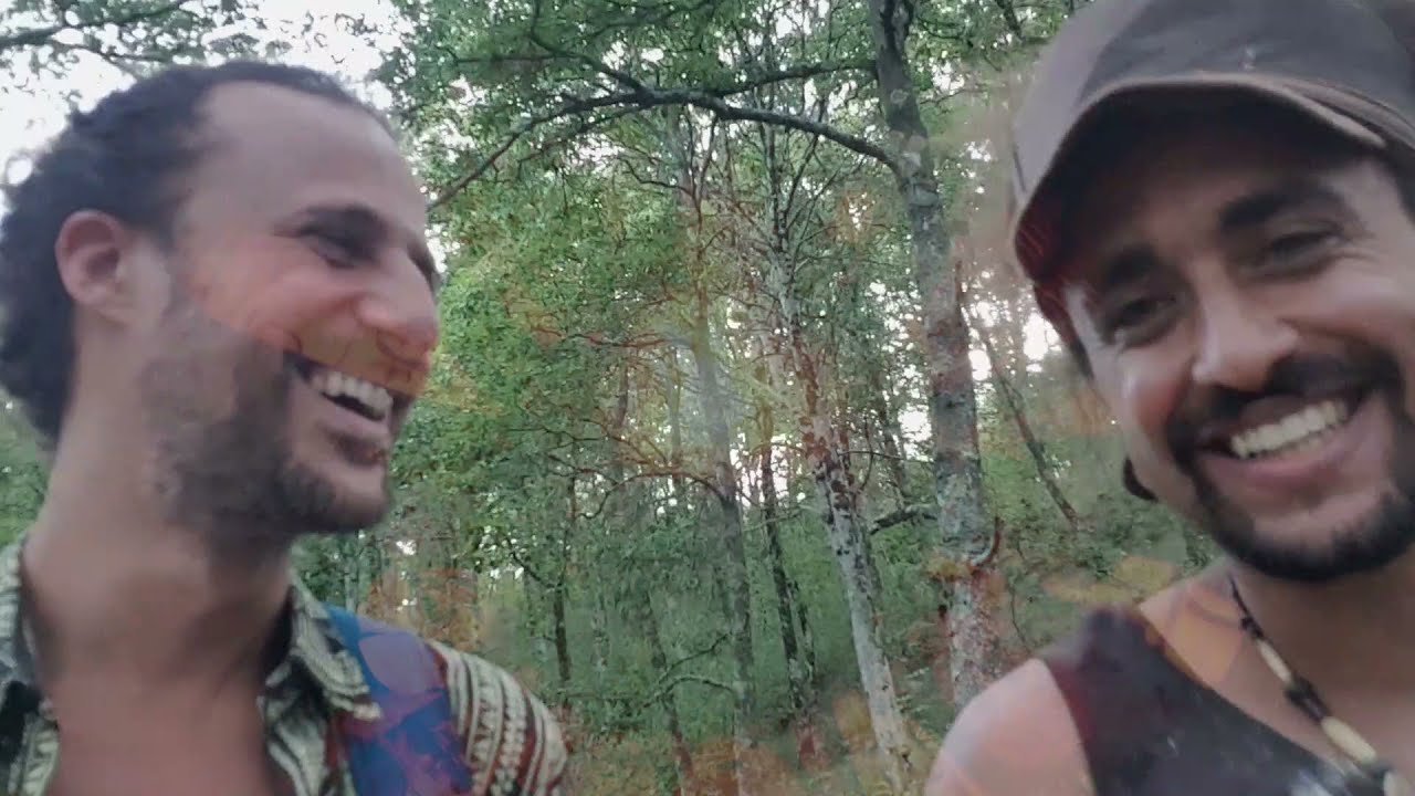 Guarda TREEBOGA - levitation su YouTube Guarda TREEBOGA - levitation su YouTube