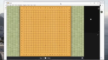How to use Sabaki and Leela Zero