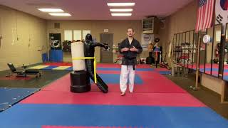 #punch defense MMA:scissor block add on