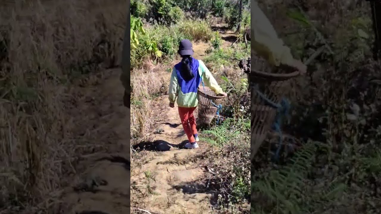Vawiin chu Ground Apple cho ang aw