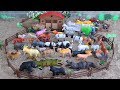 Toy Farm Zoo Wild Animals - Fun Animals Toys For Kids