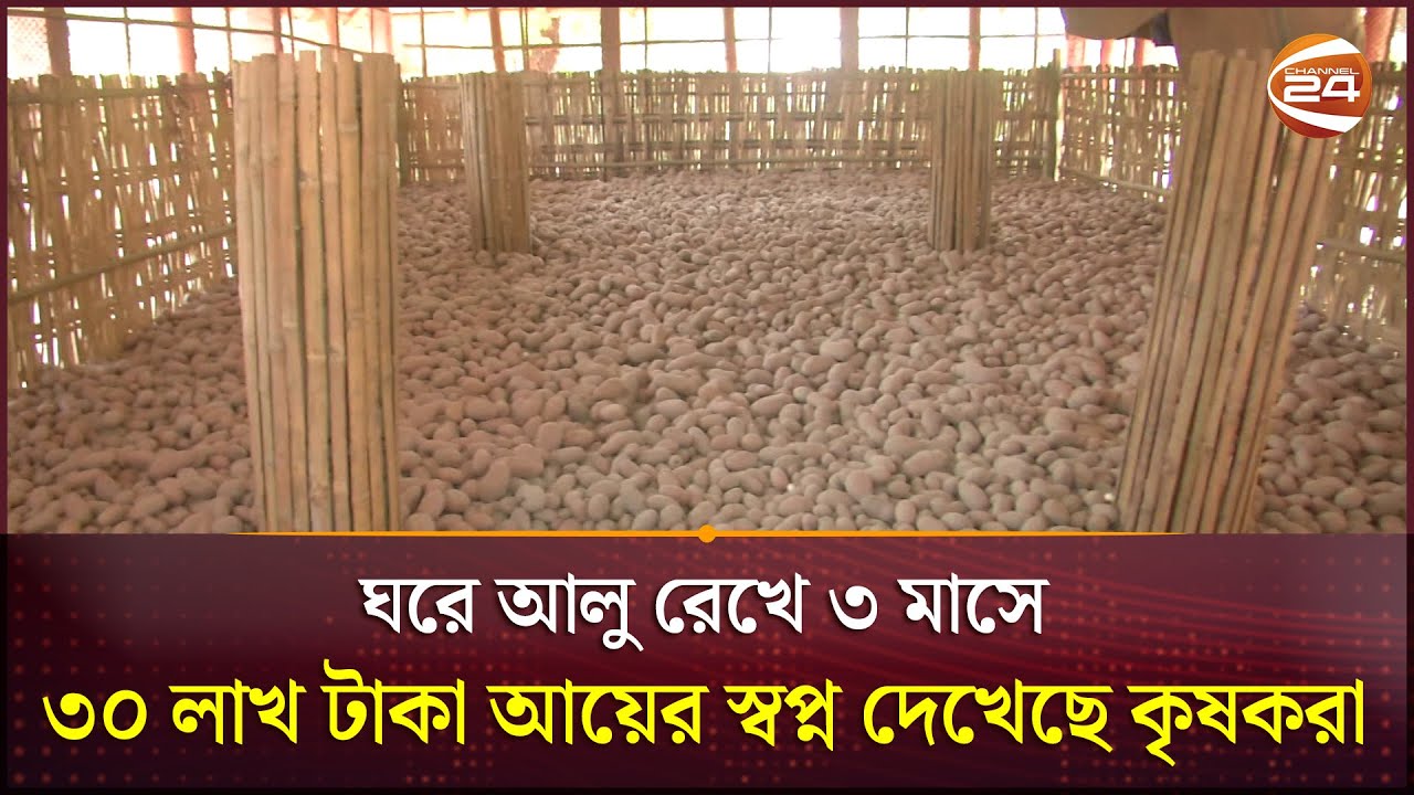 ঘরে আলু রেখে ৩ মাসে ৩০ লাখ টাকা আয়ের স্বপ্ন দেখেছে কৃষকরা | Rangpur ...