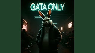 GATA ONLY (SLOWED) - SLOW BUNNY