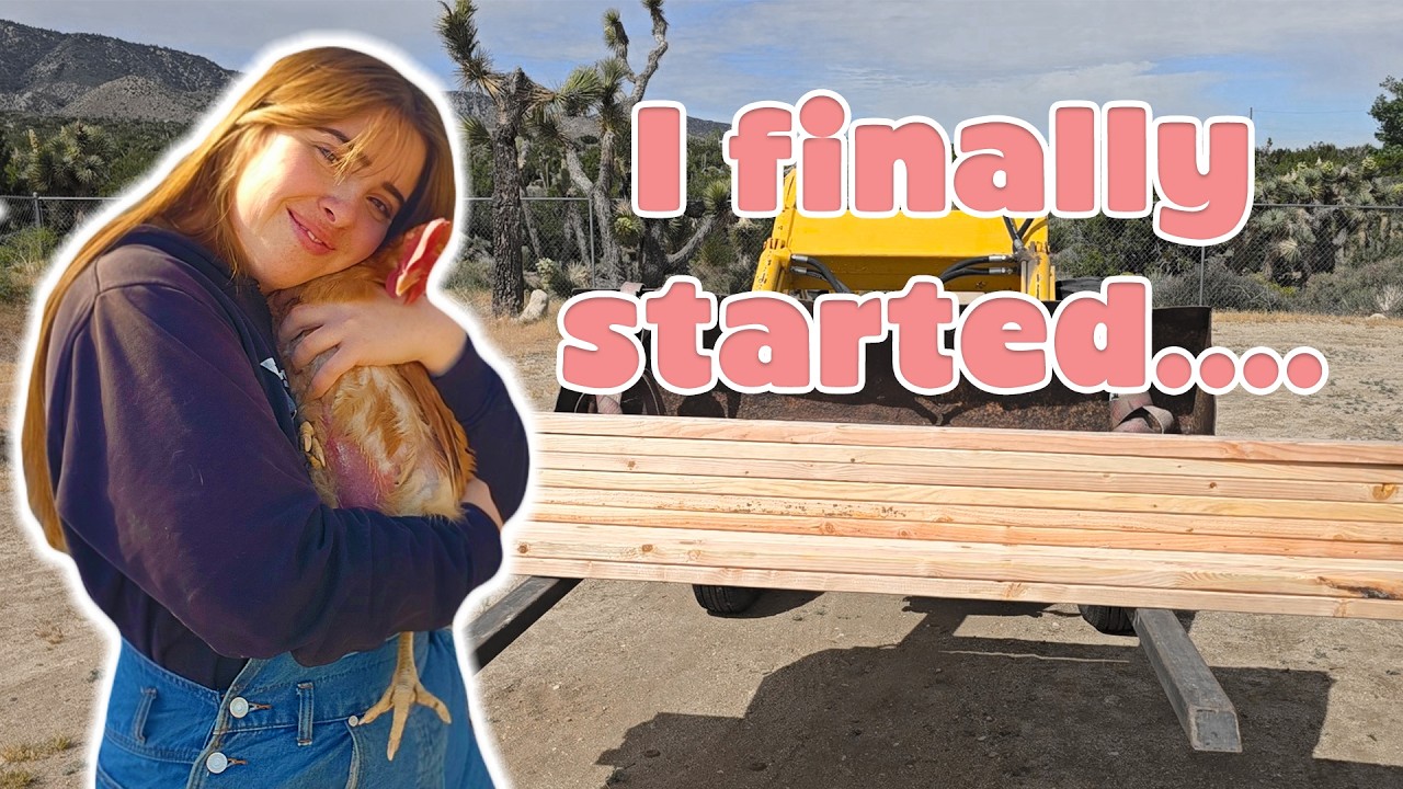 I Finally Started… Then This Happened - YouTube