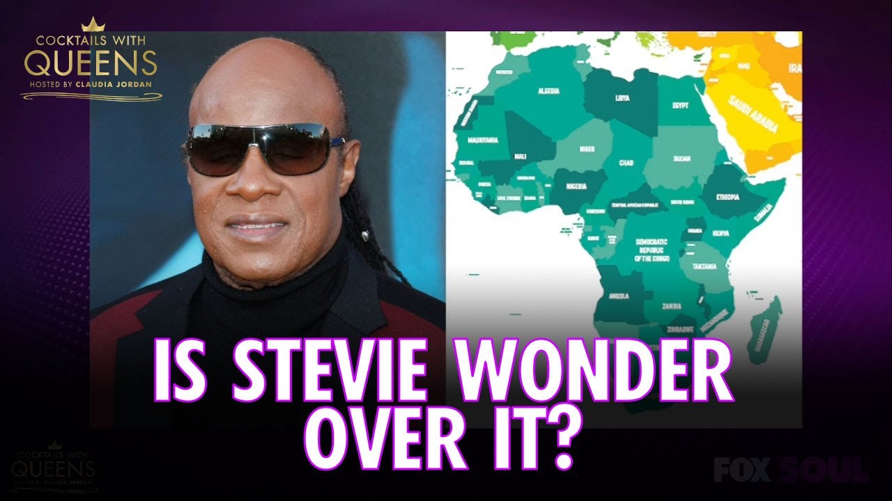 stevie wonder tours south africa