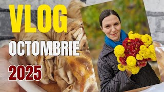 Ultimul vlog din octombrie 2025. Zile petrecute la bucătărie 