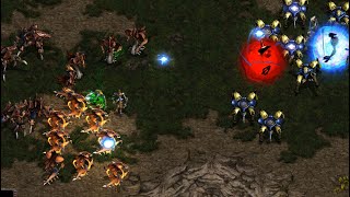 MAELSTROM! Mini 🇰🇷 (P) v Queen 🇰🇷 (Z) on Heartbreak Ridge - StarCraft - Brood War REMASTERED