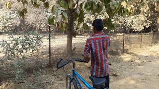 Ho gaya don giri........ By hero giri
