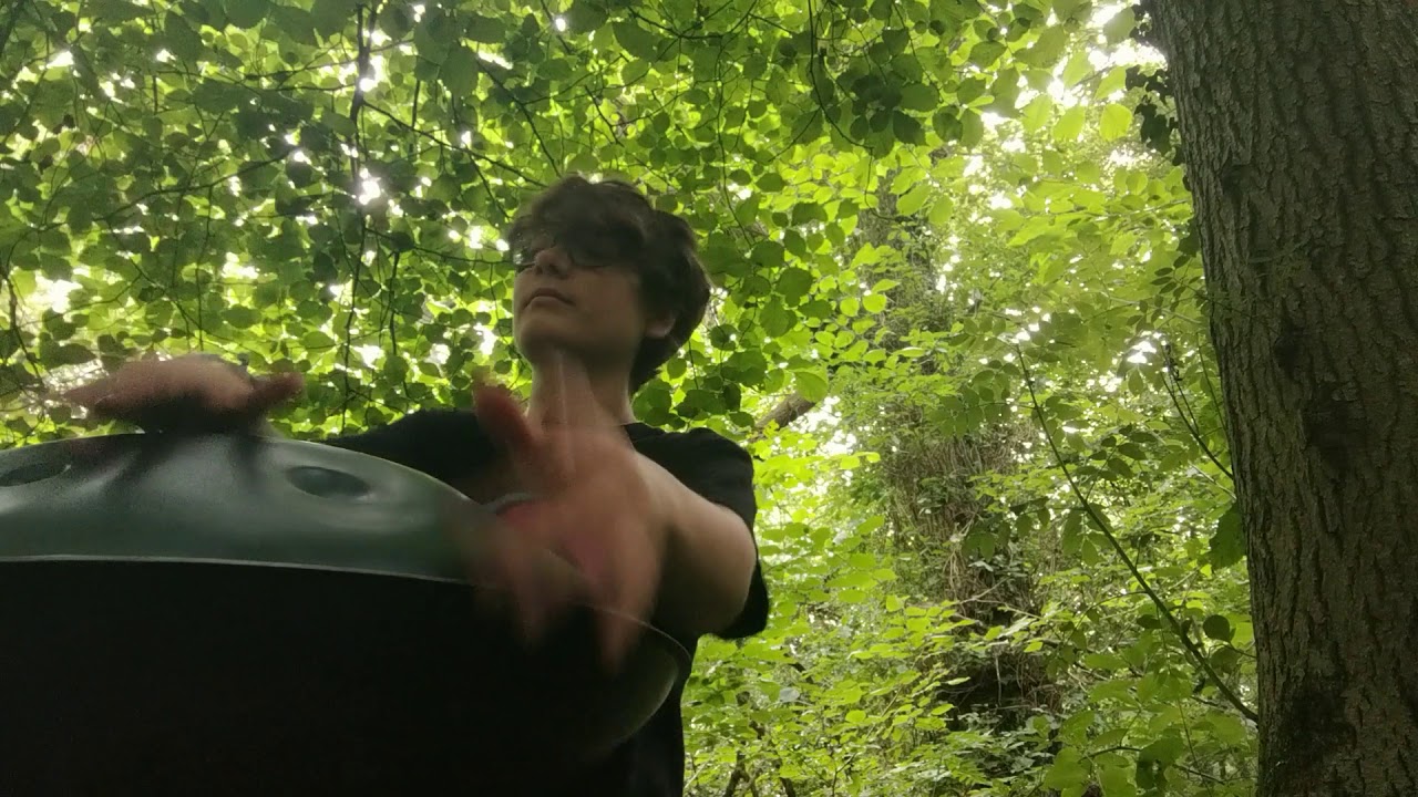 Seven Raindrops - handpan in the woods
