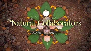 Morning Altars: To process grief, he makes beautiful earth art and lets nature wash it away