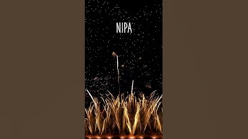 HAPPY BIRTHDAY NIPA !