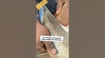 Biar Gergaji Gigit #tutorial #diy