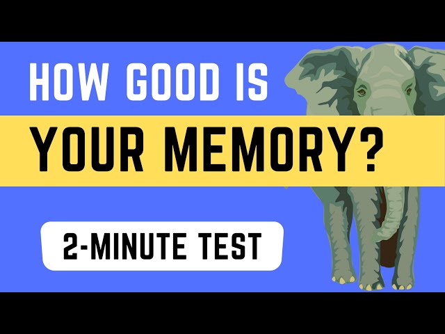 MEMORIZED! Memory Test em COQUINHOS