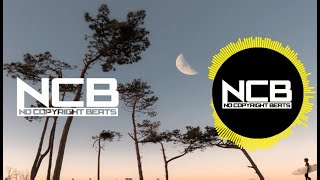 Nocopyrightbeats Fizzy Daequan - Bye Bye