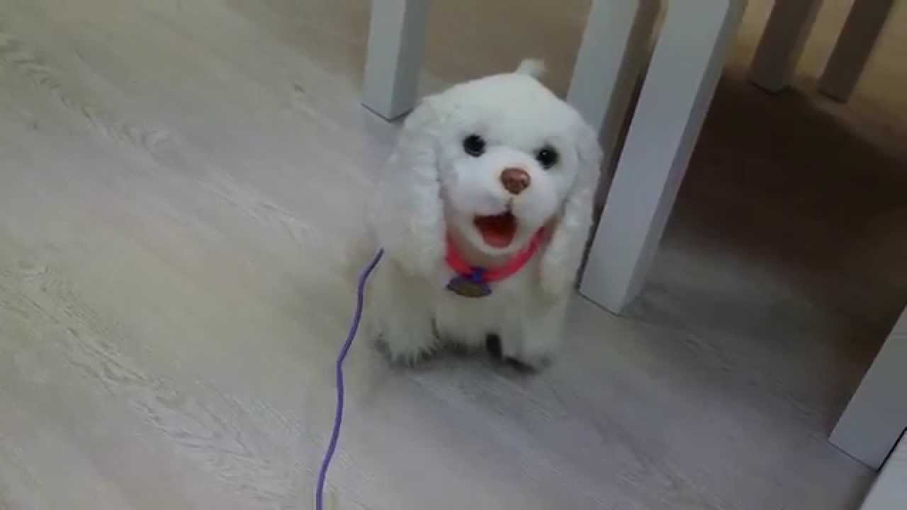 perrita furreal friends