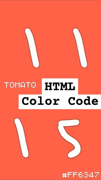 HTML Color Names and Codes with countdown timer🟥🟧🟨🟩🟦🟪🟫⬛-꧁꧂|| HTMLのひとときを ...