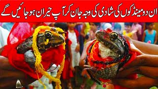 ان دو مینڈکوں کی شادی کی وجہ جان کر آپ بھی حیران ہو جائیں گے | Top Five Facts in Urdu/Hindi