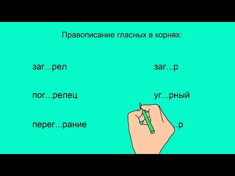 Русский язык. Правописание частицы -НЕ- с существительными.