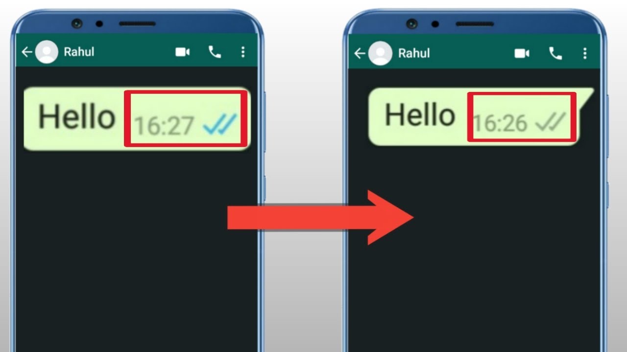 whatsapp check marks in chat