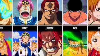 One Piece Characters BEFORE and AFTER TIMESKIP
