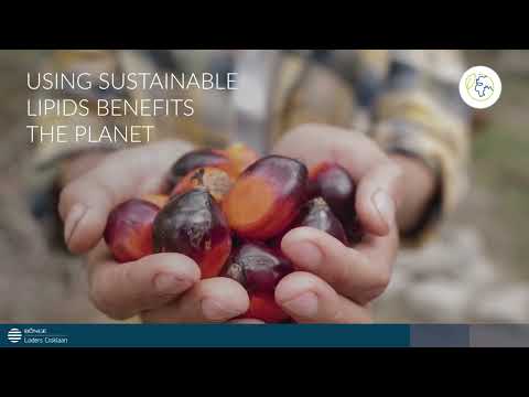 Video Drivers Confectionary Better for the Planet - Bunge Loders Croklaan