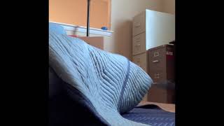 How to Move Furniture: How to Wrap an Antique Barrister Bookcase