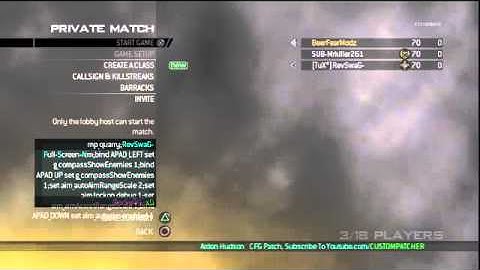 RevSwaG-  Full Screen Aim Assist