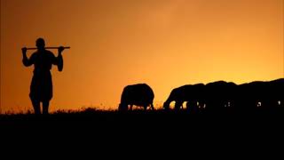 Bingöl Çobanları.