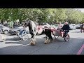 London Horse Drive 2020