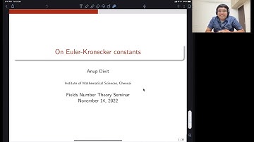 On Euler-Kronecker Constants
