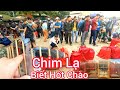 Chợ Chim Lạng Sơn | Phiên Mùng 2 Đầu Tháng 3 Rất Nhiều Chim Cò